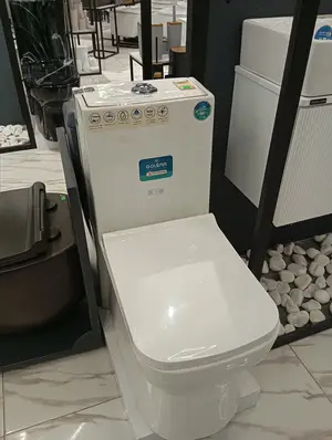 فرنگی ایمنس گلسار