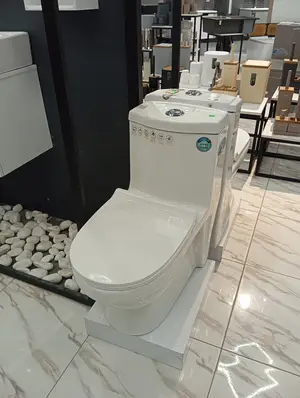 فرنگی کلین گلسار